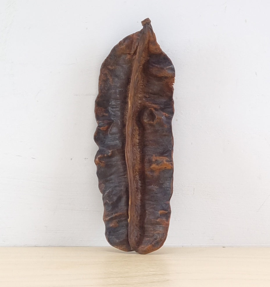 Brekese seed pod