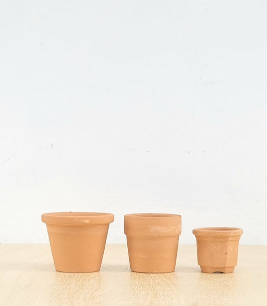 3 mini terracotta plant pots