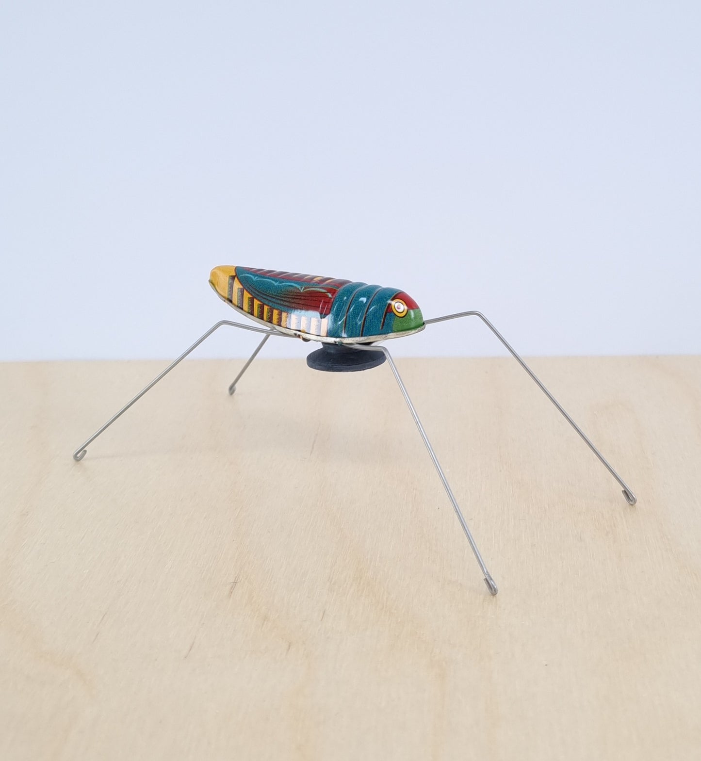 Jumping grass hopper