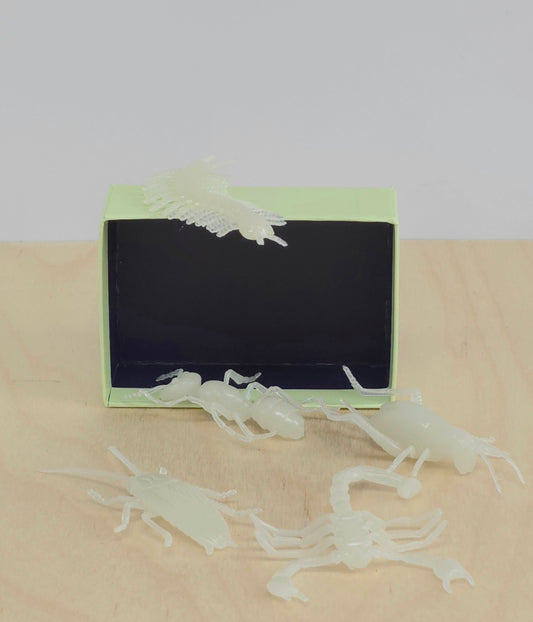 Glow in the dark insects