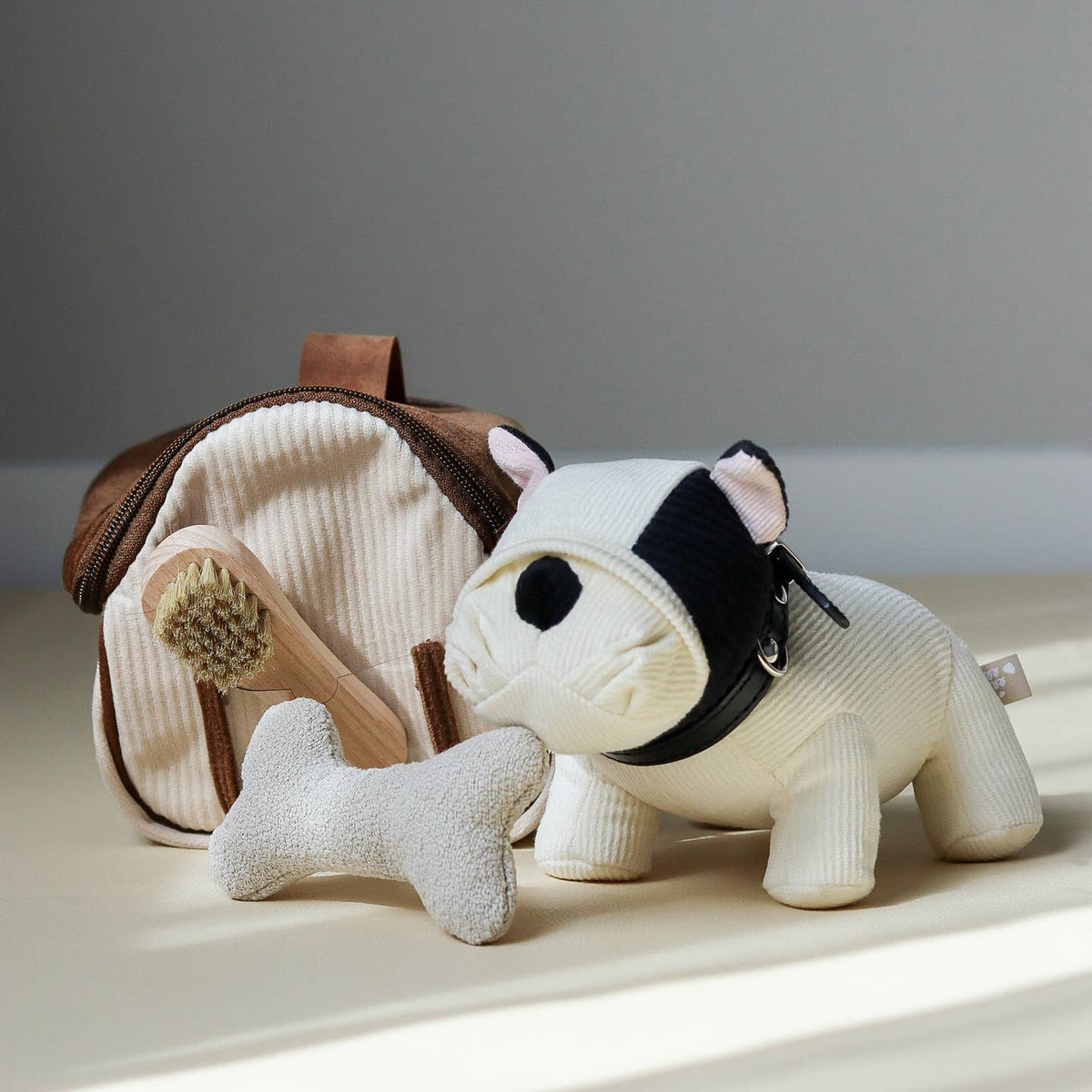Dog and carrier