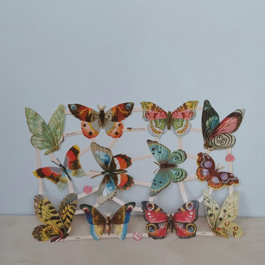 Butterfly scraps
