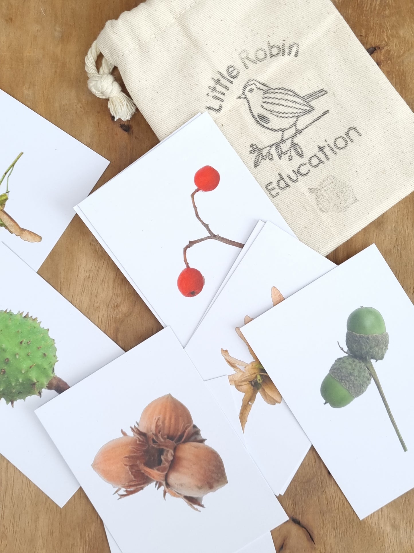 Little Robin flash cards