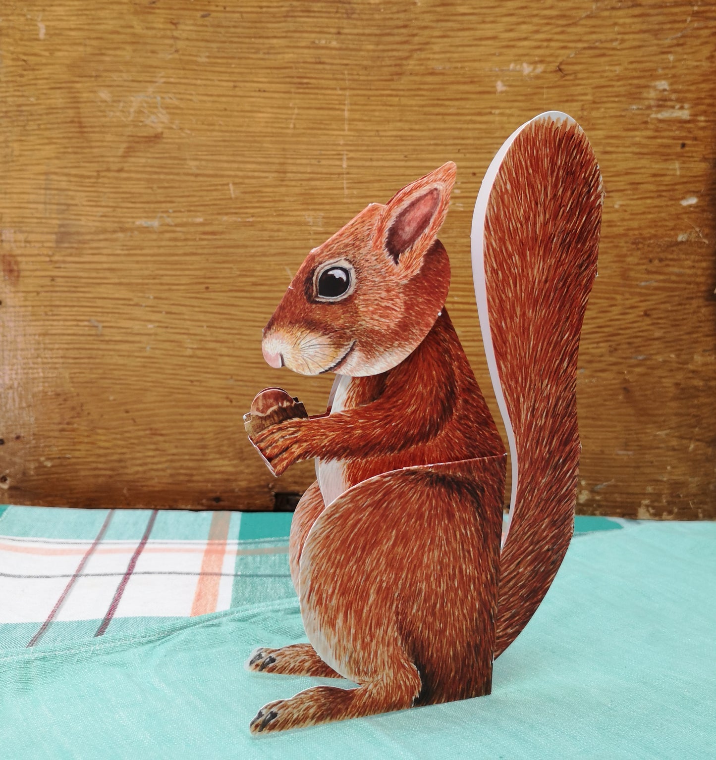 Red squirrel card