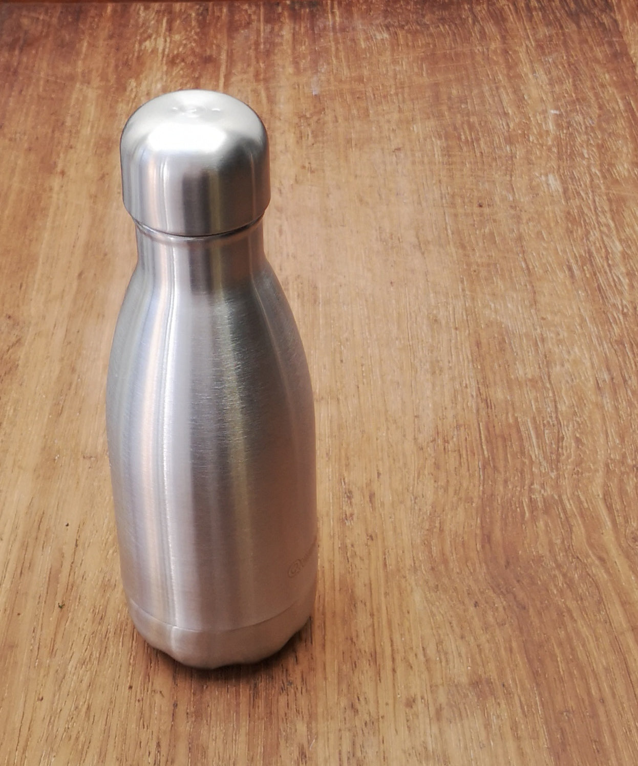 Insulated stainless steel bottle