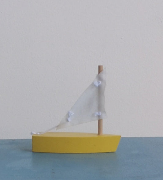Mini sail boat