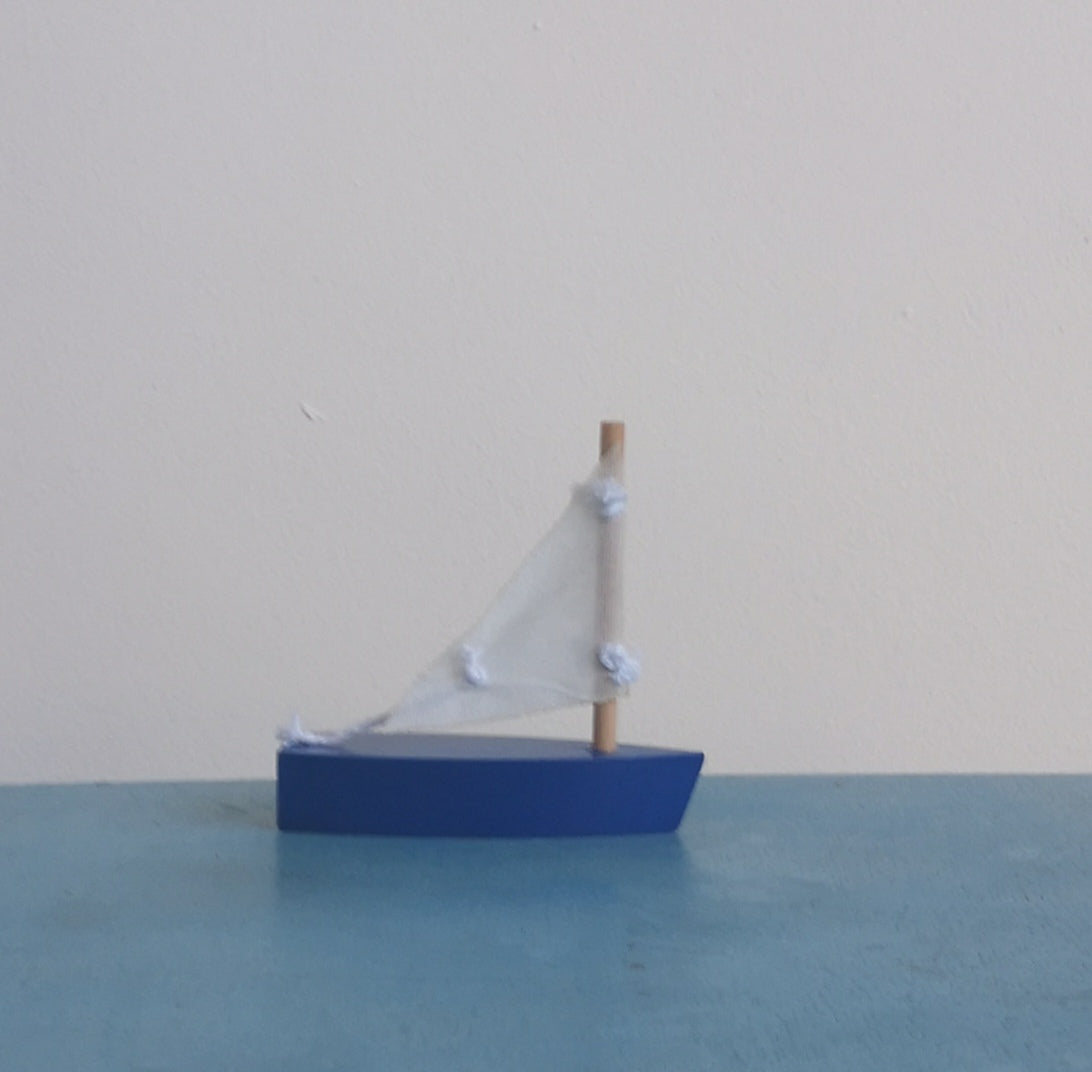 Mini sail boat