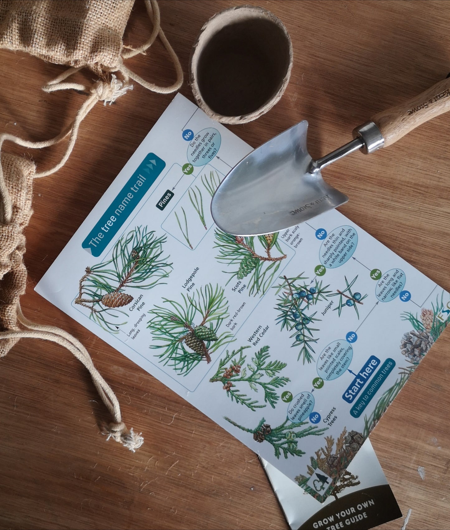 Plant a tree