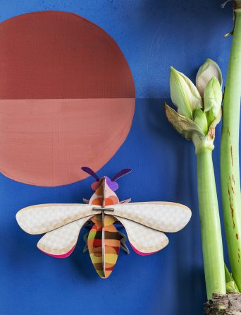 Small diy insects