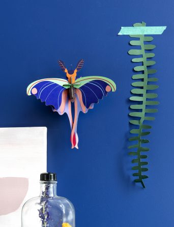 Small diy insects
