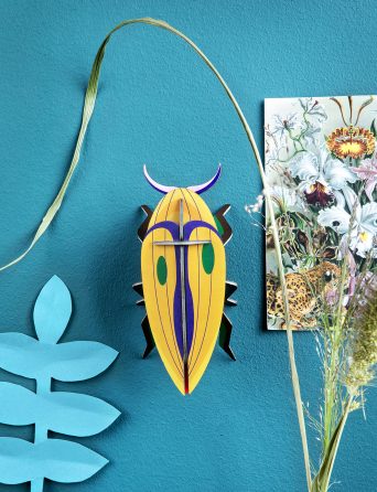Small diy insects