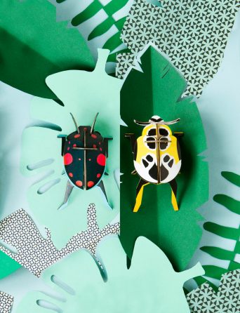 Small diy insects