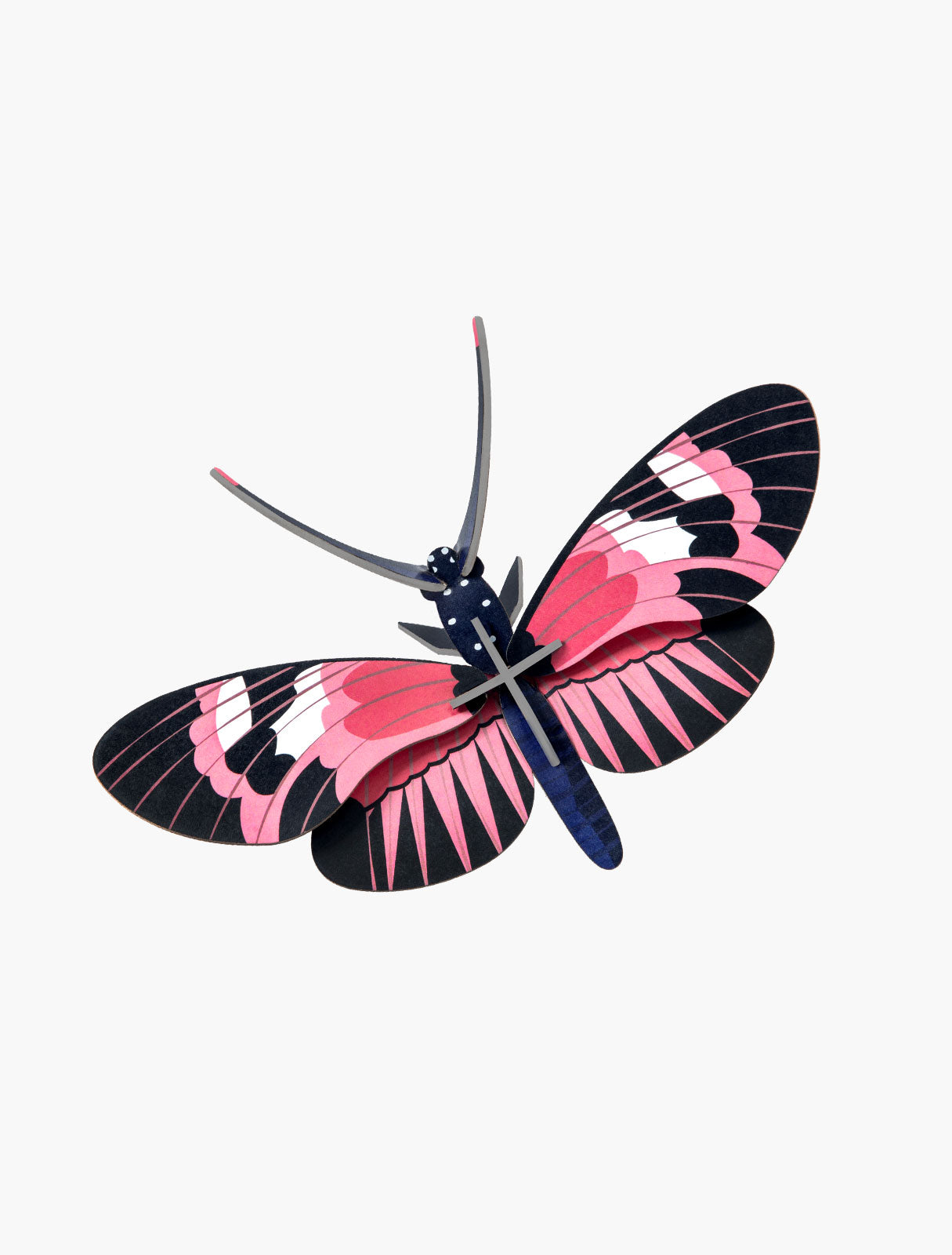 Small diy insects