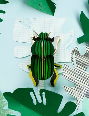 Small diy insects