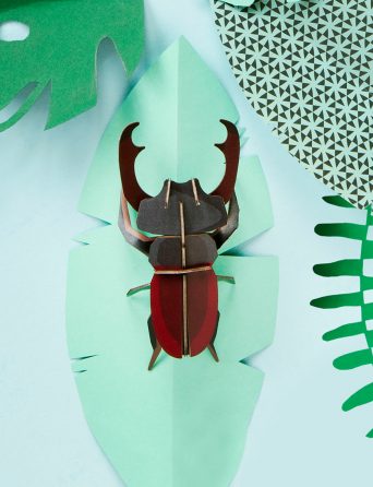 Small diy insects