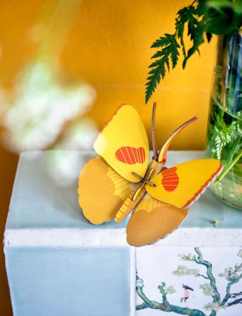 Small diy insects