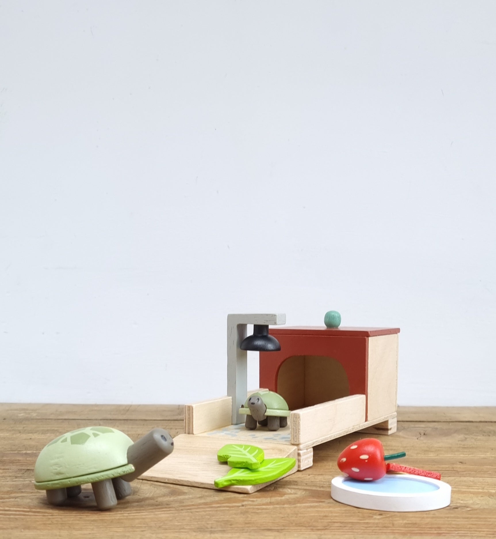 Tortoise Set Tortoise pet set – Wickle