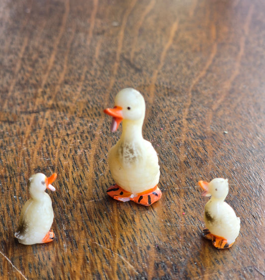 Mini duck family