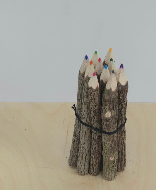 Twig crayons
