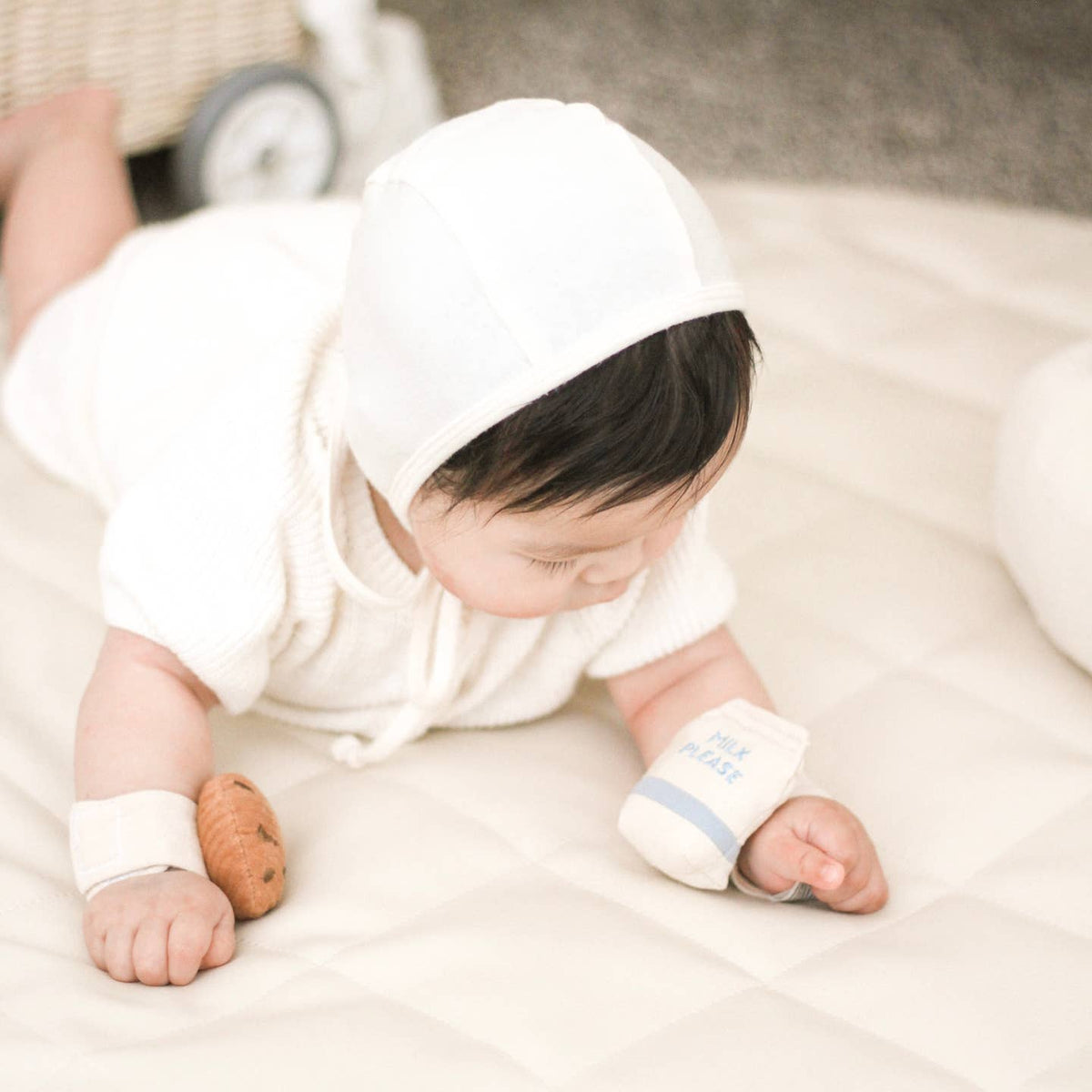 Milk and cookie rattle set