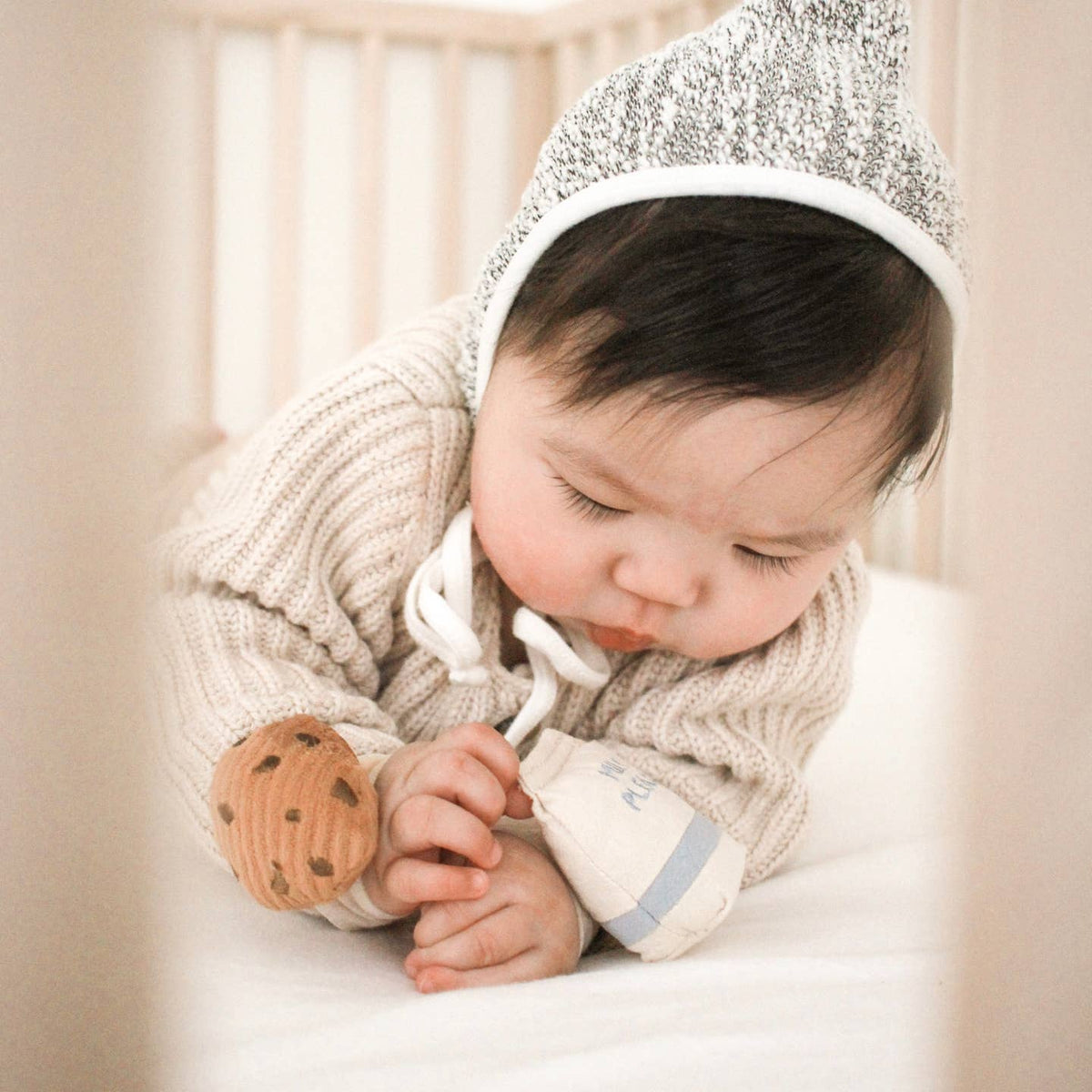 Milk and cookie rattle set