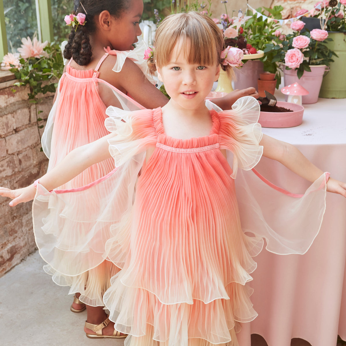 Fairy costume and wand