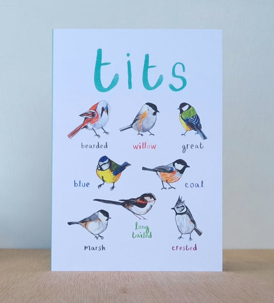 Tits card