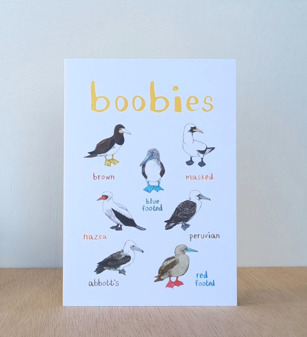 Boobies card