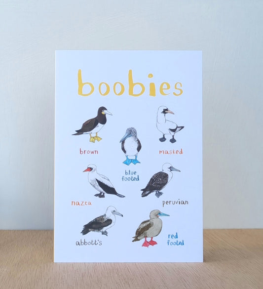 Boobies card