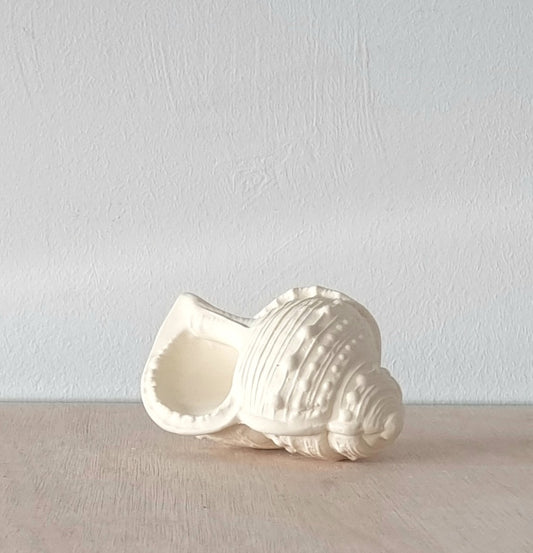 Shell teething toy