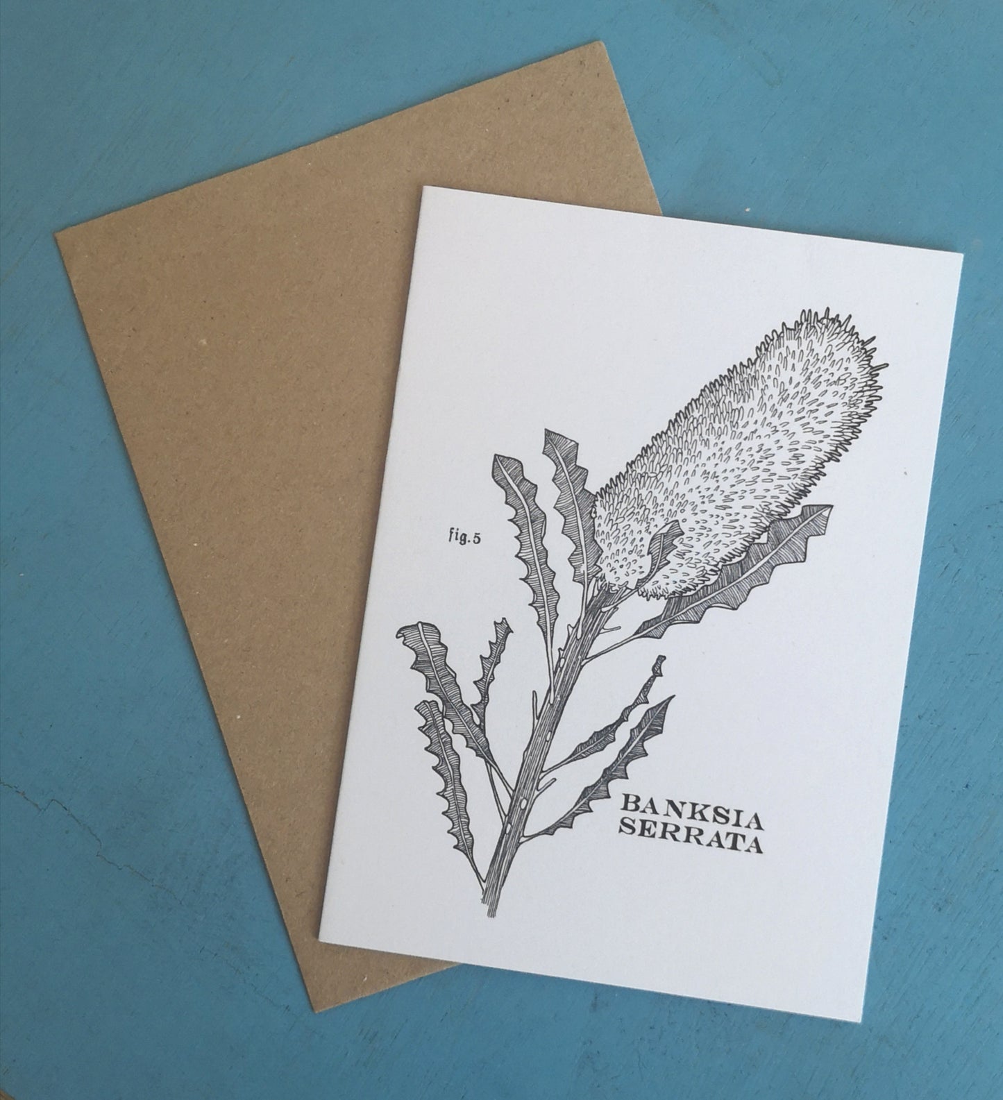 Botanical drawing cards